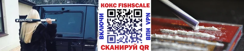 mega как войти  наркота  Сыктывкар  Cocaine Эквадор 