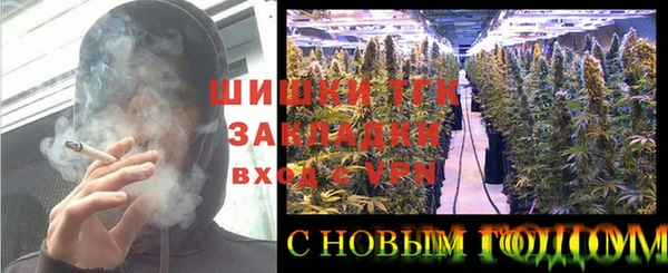 ПСИЛОЦИБИНОВЫЕ ГРИБЫ Краснотурьинск