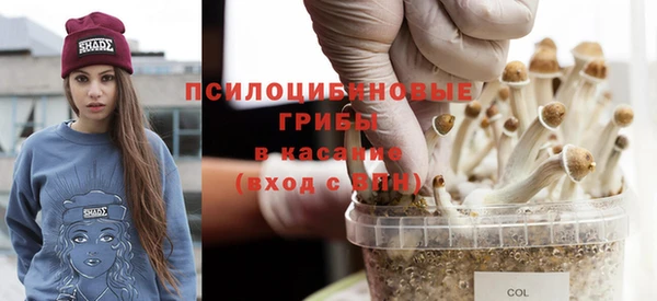 ПСИЛОЦИБИНОВЫЕ ГРИБЫ Краснотурьинск