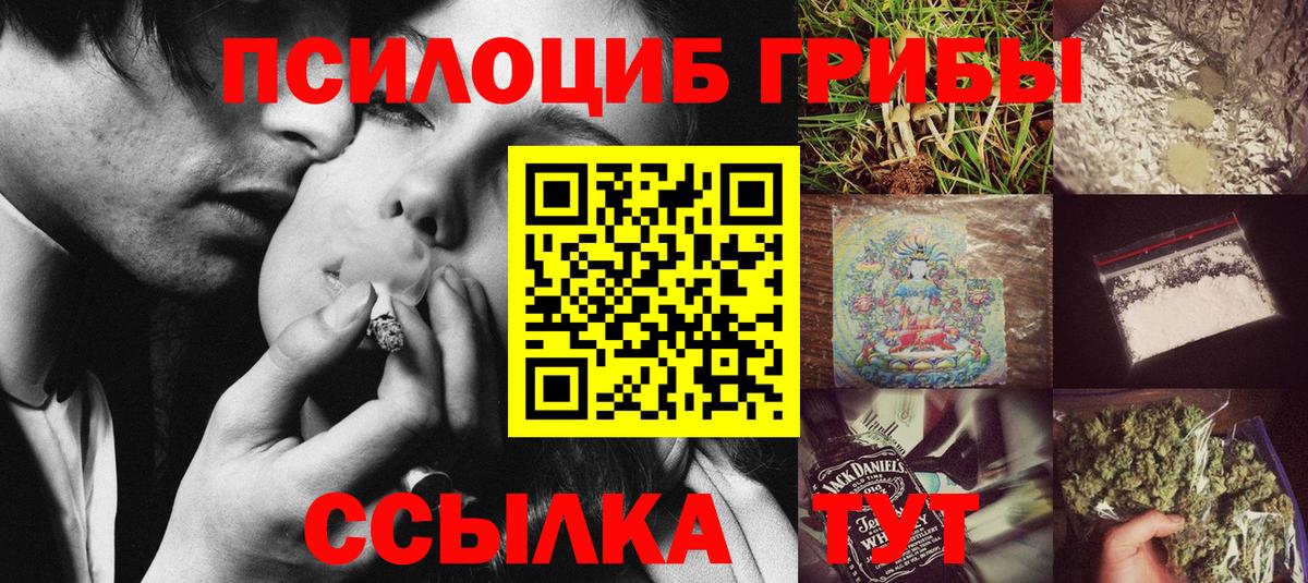 Псилоцибиновые грибы Сыктывкар